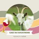 Fournisseur 03 chèvre